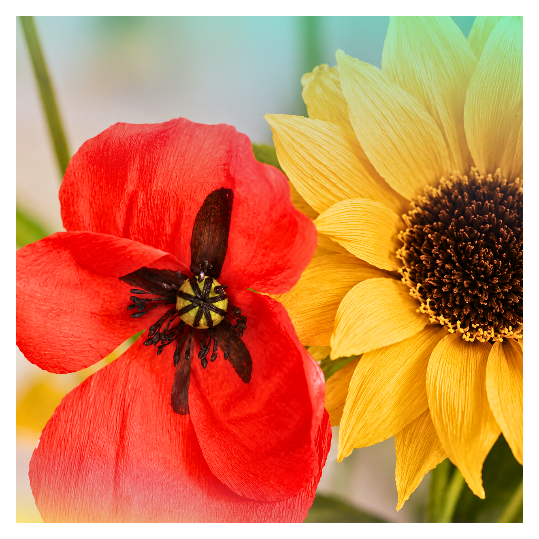 🌸 Atelier "Je réalise mon Tournesol en papier" - 22 août- 10h