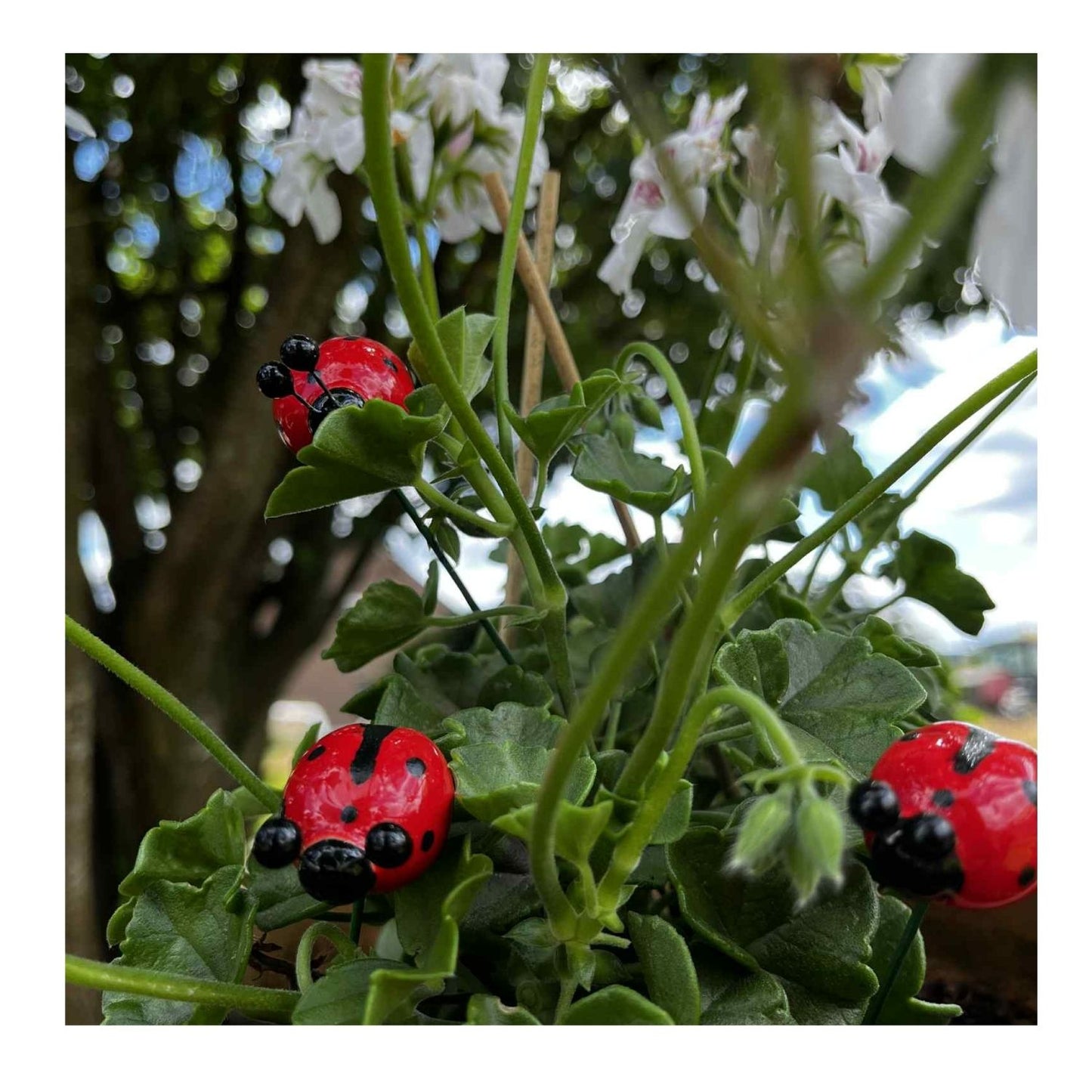 Coccinelle en céramique