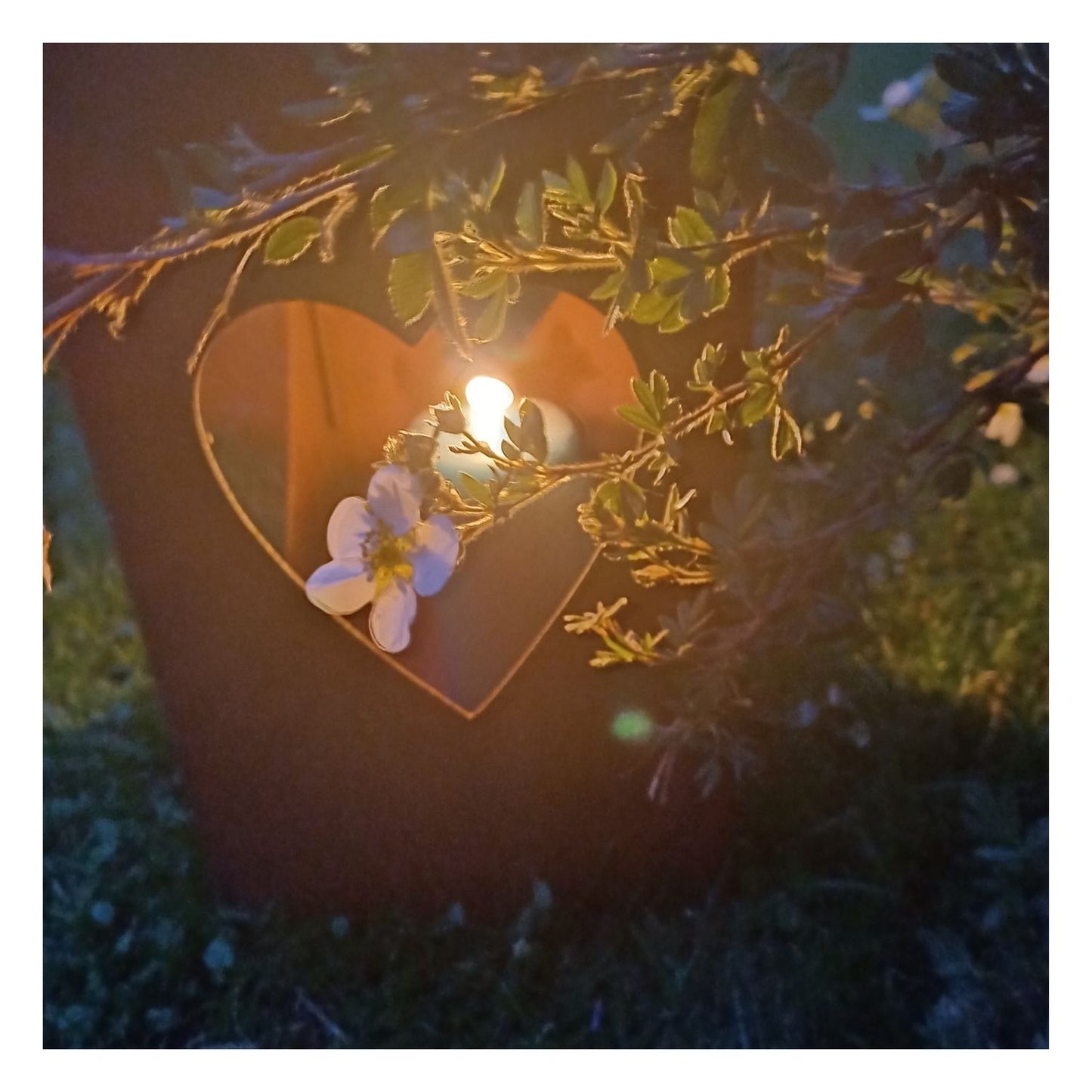 Lanterne coeur avec parois en verre