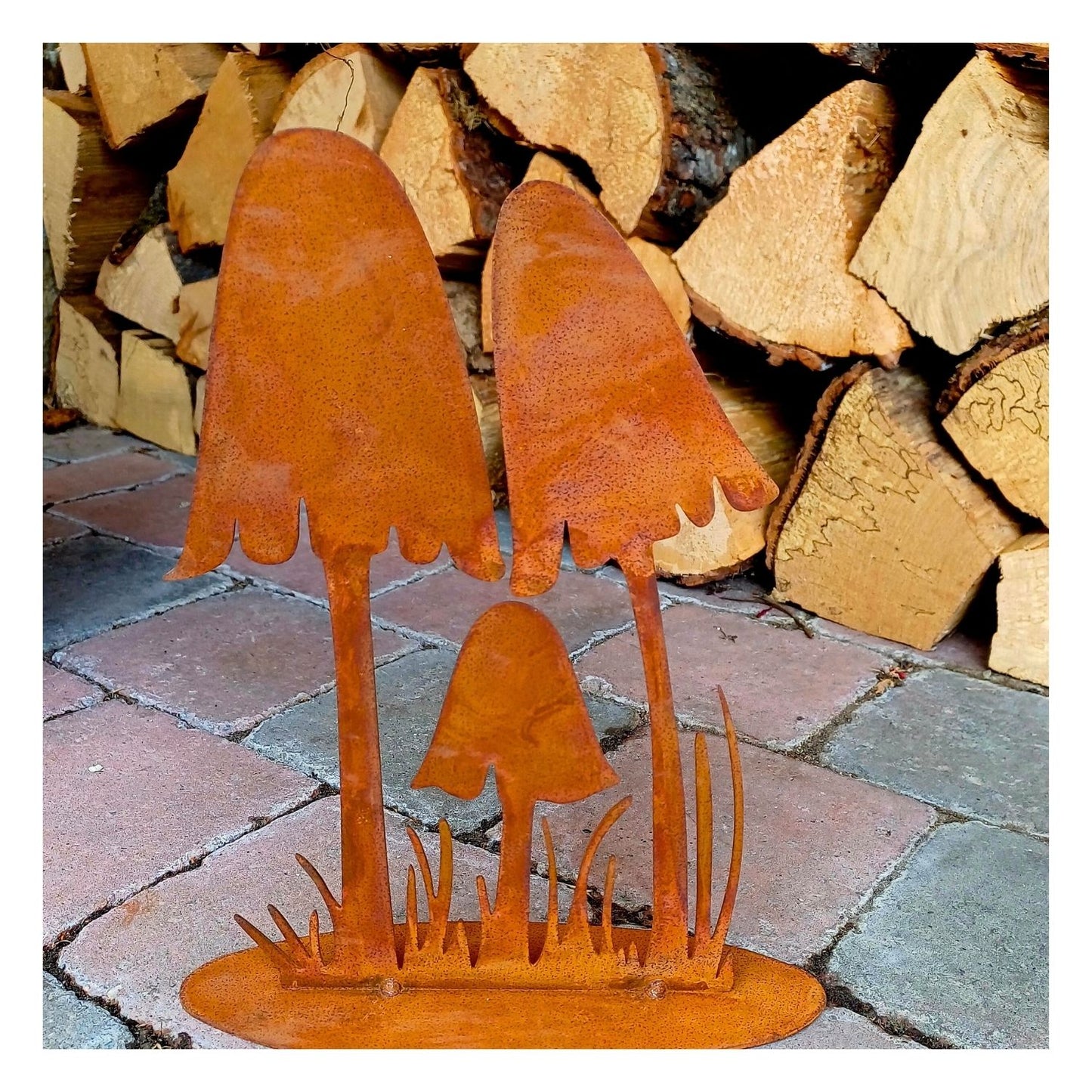 Champignons féériques