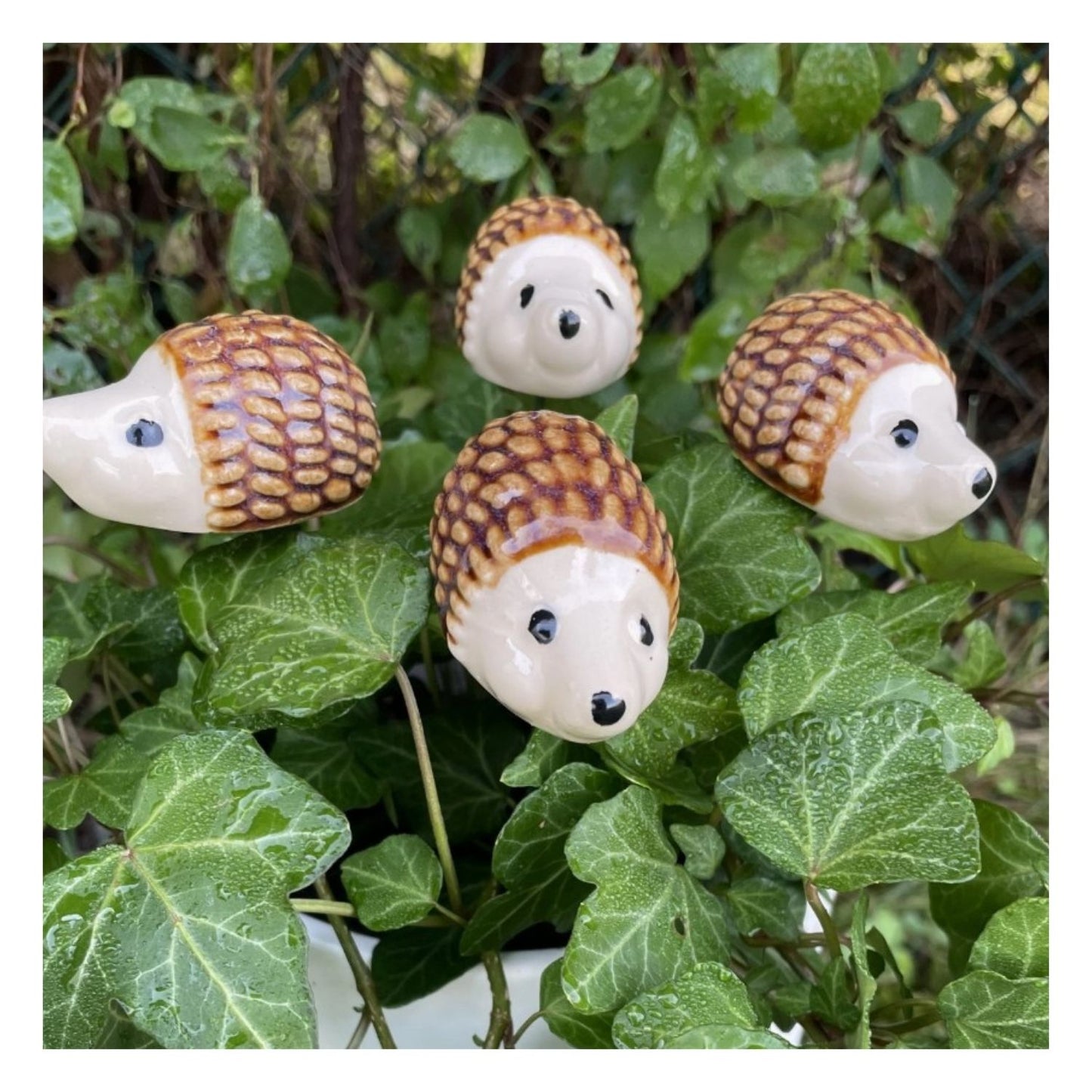 Hérisson en céramique