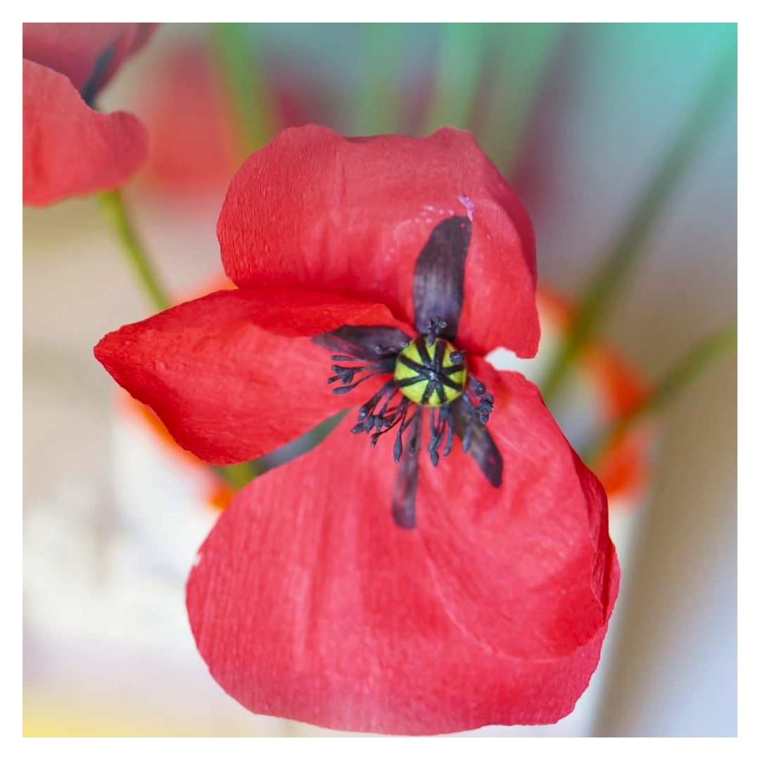 🌸 Atelier "Je réalise mon coquelicot en papier" - 22 août- 13h30