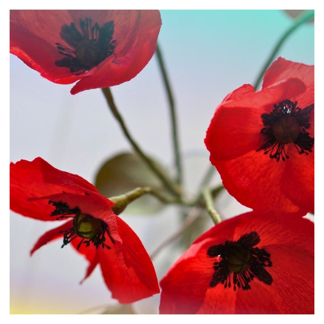 🌸 Atelier "Je réalise mon coquelicot en papier" - 22 août- 13h30