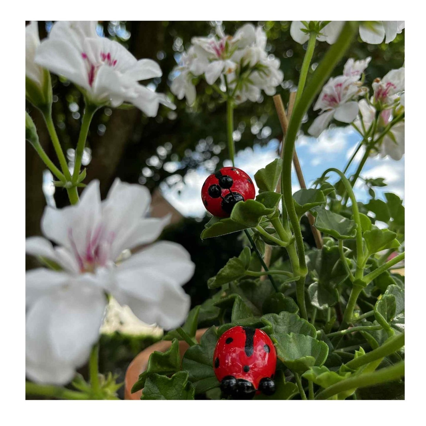 Coccinelle en céramique