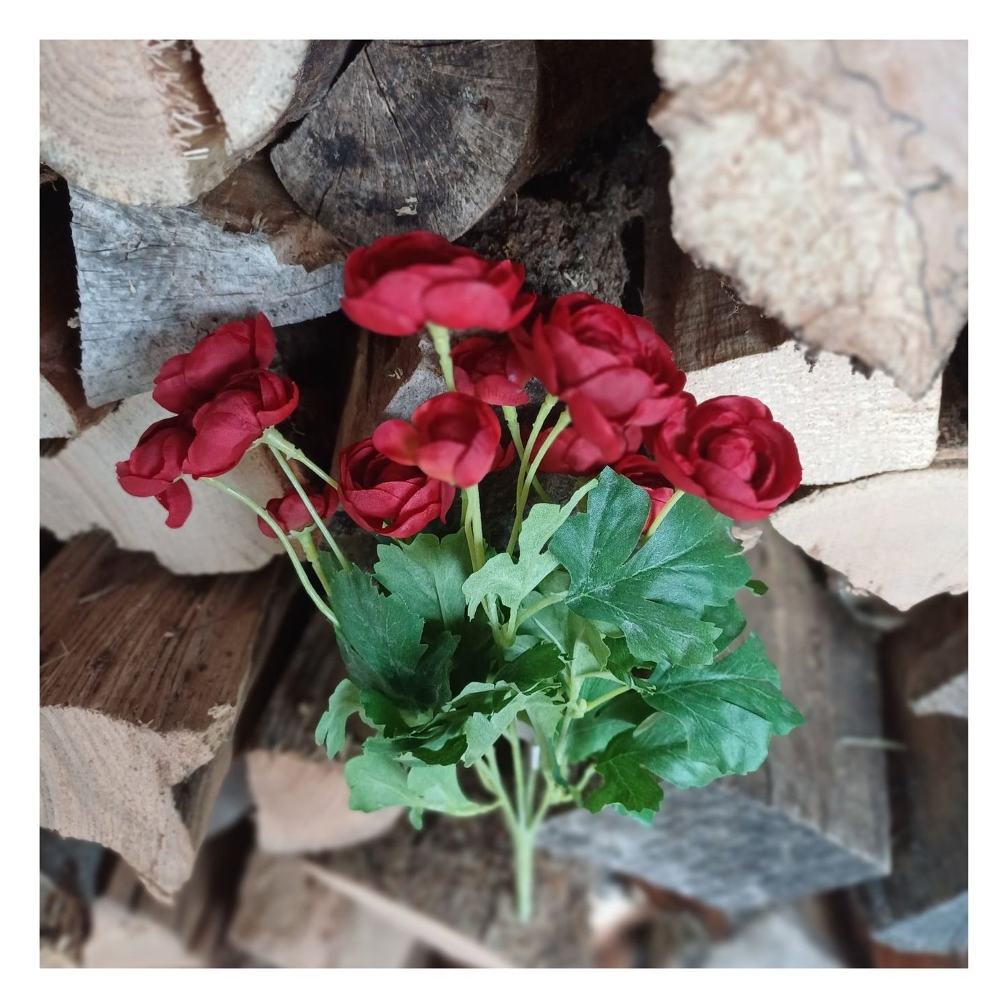Bouquet de renoncules rouges