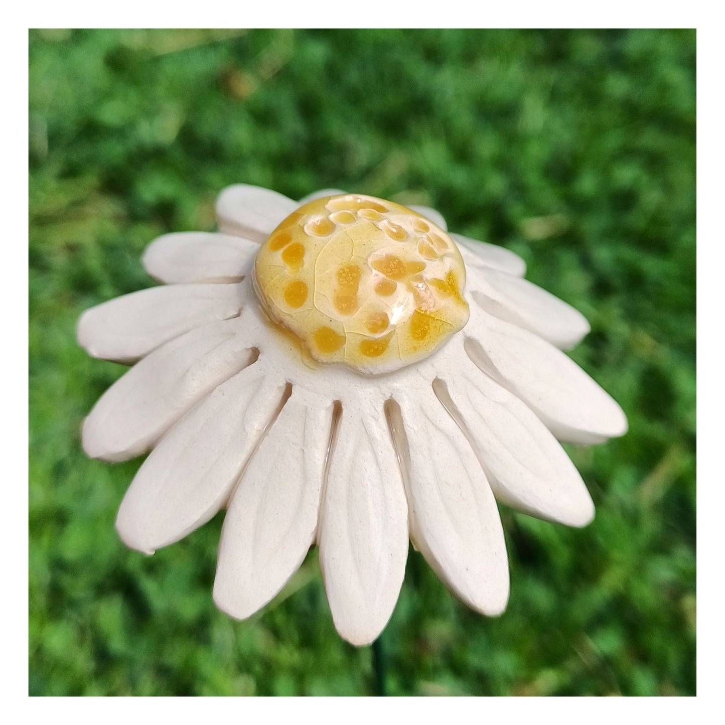 Fleur  en céramique - Camomille