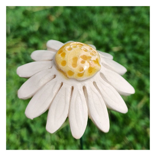 Fleur  en céramique - Camomille