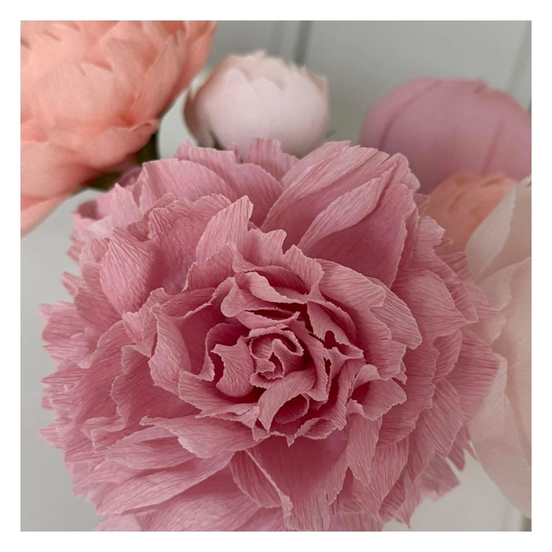 🌸 Atelier "Je réalise ma pivoine en papier" 21 février - 9h30