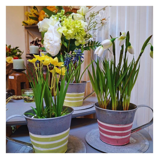 Cache-pot tasse & soucoupe en zinc – Rayures pastel