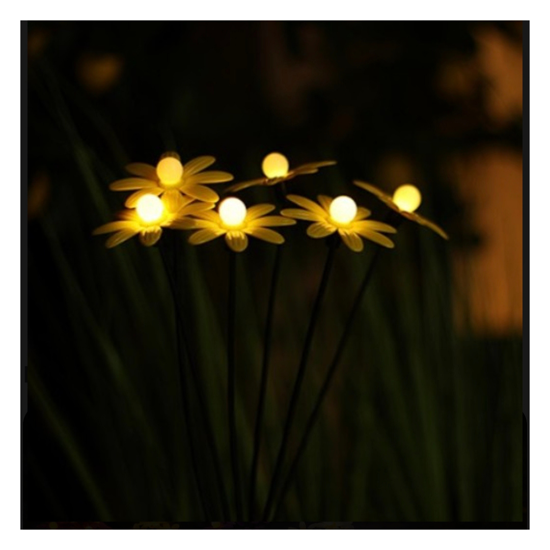 Bouquet de marguerites Led-solaire- 80 cm de haut