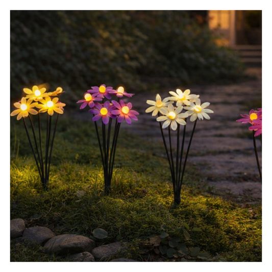 Bouquet de marguerites Led-solaire- 80 cm de haut
