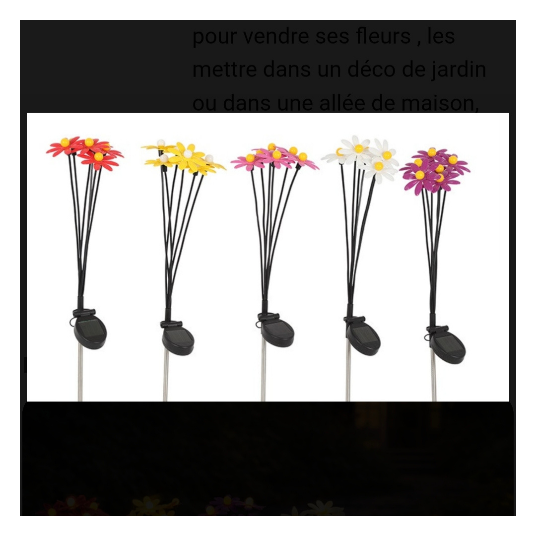Bouquet de marguerites Led-solaire- 80 cm de haut